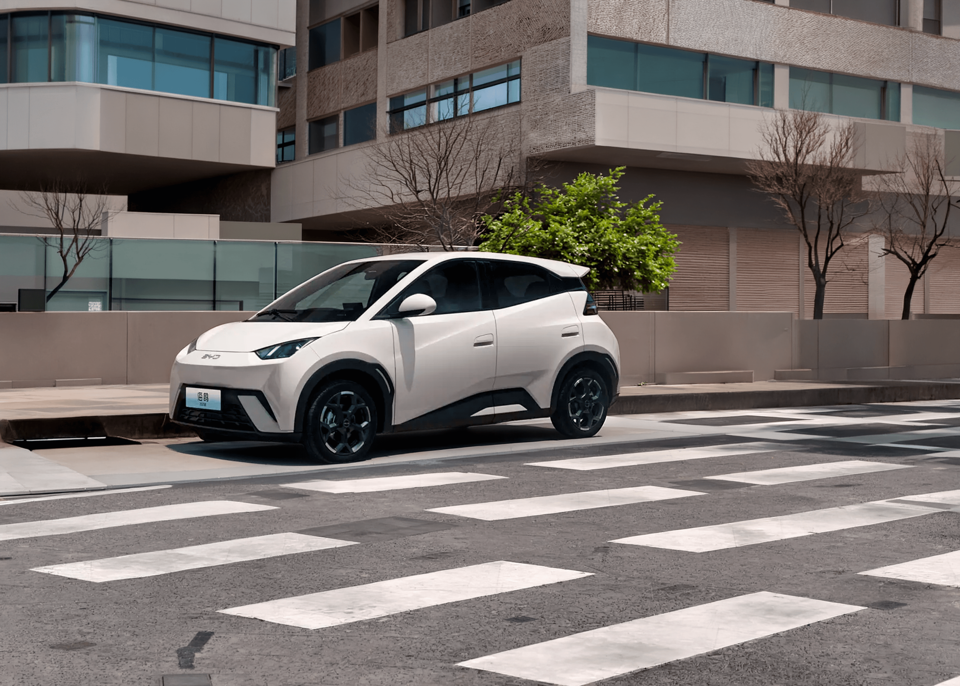 BYD SEAGULL FLYING 2025 — vista 1